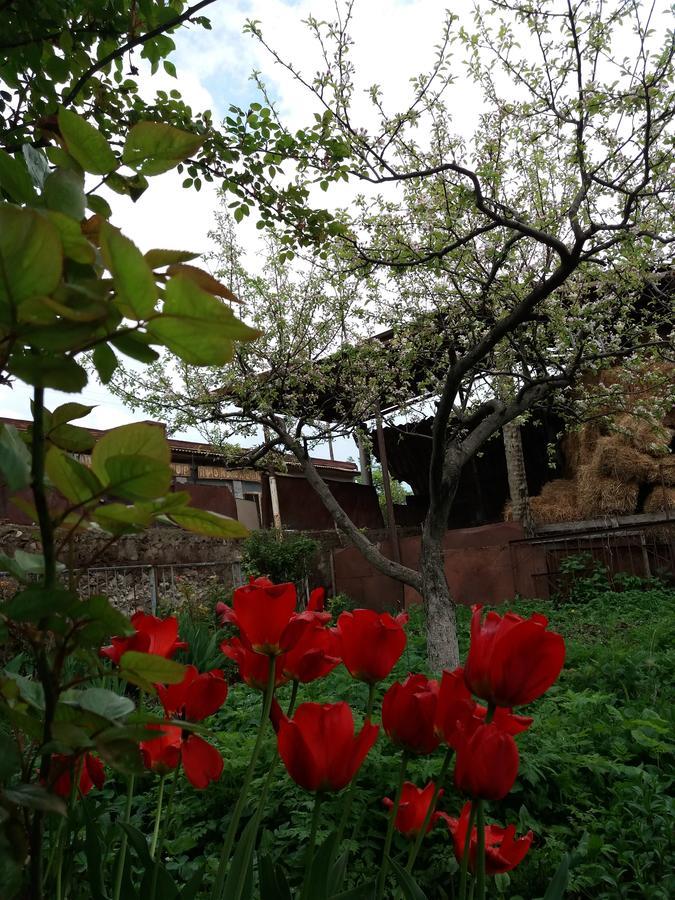 Aida Bed & Breakfast Tat'ev Ngoại thất bức ảnh
